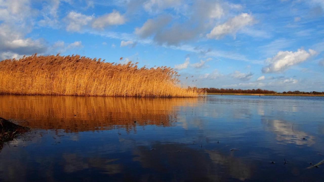 Emilias Hues, Reethaus In Der Bucht Von Wismar Zierow Kültér fotó