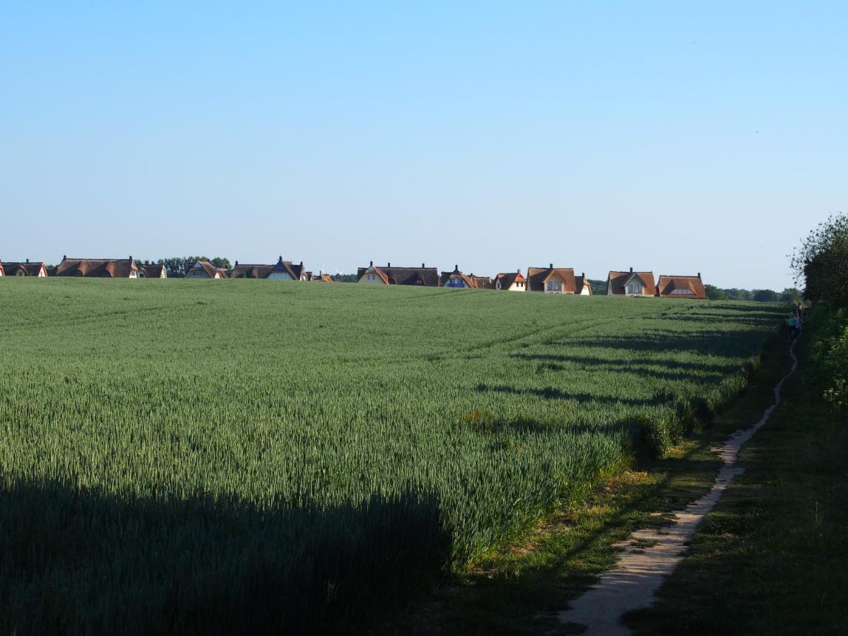 Emilias Hues, Reethaus In Der Bucht Von Wismar Zierow Kültér fotó