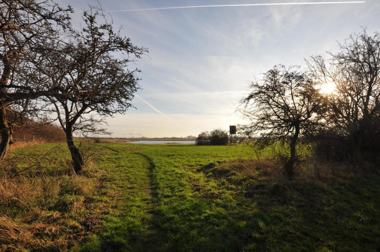 Emilias Hues, Reethaus In Der Bucht Von Wismar Zierow Kültér fotó