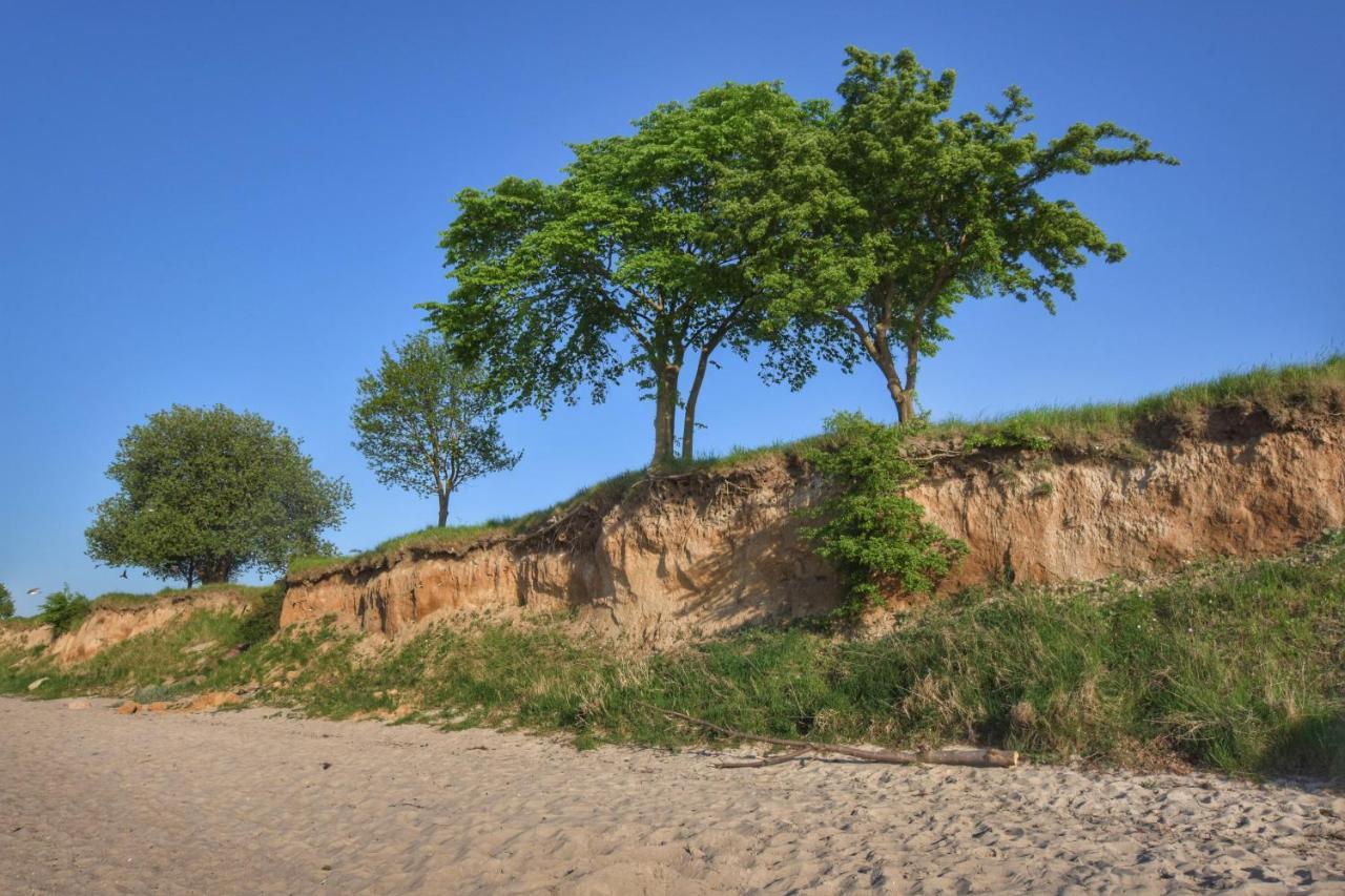 Emilias Hues, Reethaus In Der Bucht Von Wismar Zierow Kültér fotó