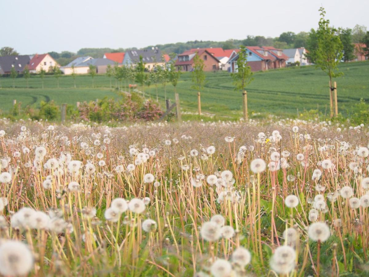 Emilias Hues, Reethaus In Der Bucht Von Wismar Zierow Kültér fotó